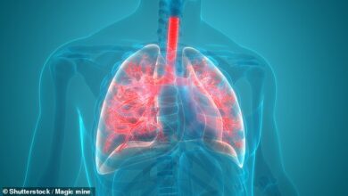 Groundbreaking drug could cut the chance of lung cancer coming back by a third if used alongside chemotherapy and surgery. So why have NHS bosses rejected it?