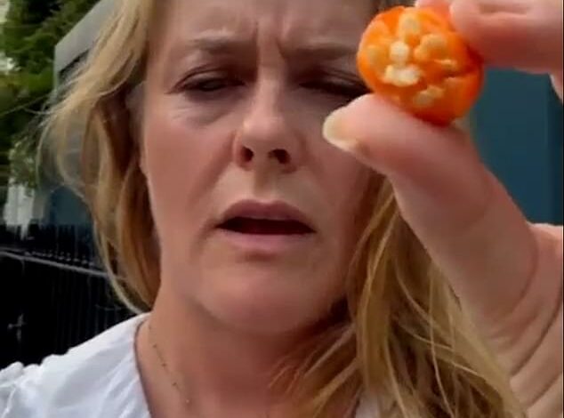 Hollywood star shocks fans by eating extremely poisonous berry from London garden, asks fans: ‘What is this?’