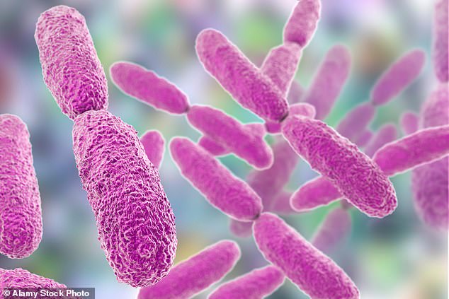 ‘Hypervirulent’ superbug that could cause next pandemic discovered in 16 countries including UK, world health leaders warn