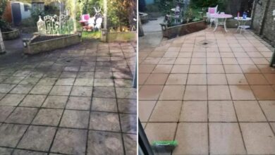 ‘I can’t believe it’s the same patio!’ says gardener after using £1 cleaner