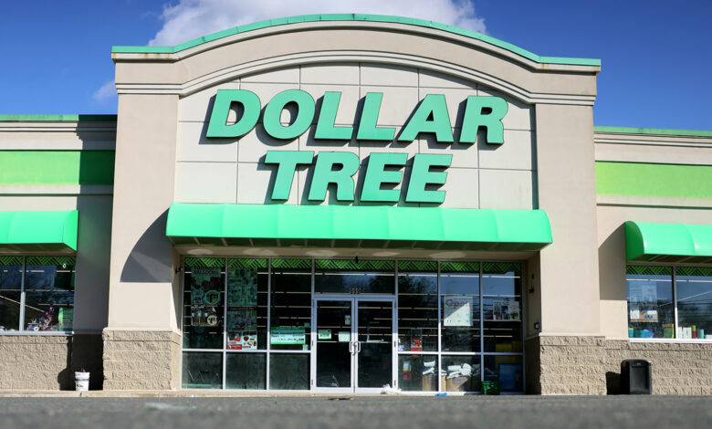 I found a Dollar Tree dupe for an expensive beauty product – it comes in 2 versions