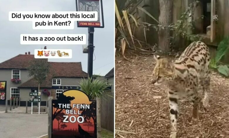 I found a secret zoo behind a pub – it’s dirt cheap and perfect to visit with kids