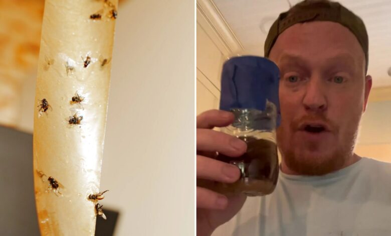 I have found a 3 ingredient recipe that repels flies – a £2.55 portion will last for years