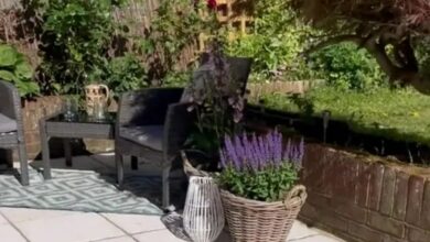 I transformed my messy patio with a £10 purchase from B&Q – but trolls are criticizing me for it