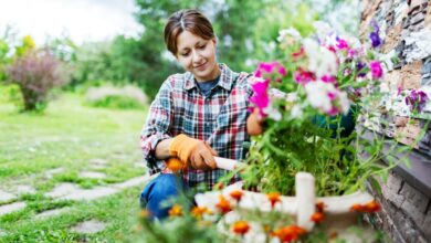 I’m a gardening guru who’s tired of neighbors watching my summer barbecues