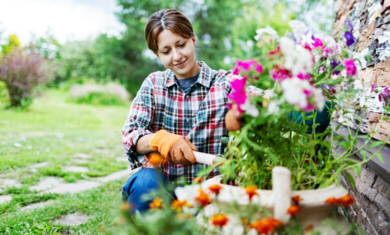 I’m a gardening guru who’s tired of neighbors watching my summer barbecues