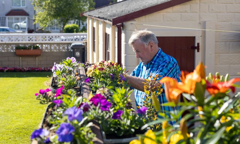 I’m a weed expert – a bottle in the bathroom cabinet will keep them away for good