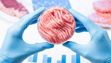 Is Britain Secretly Going Vegan? Government Invests £15 Million in Fake Meat Lab to Create Climate-Friendly ‘Alternative Proteins’… Could They Soon Be in Your Sausages and Burgers?