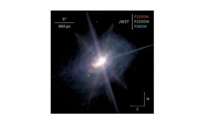 JWST reveals unexpected dust structure around supermassive black hole