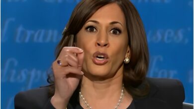 Kamala Harris Raises  Million (Updated August 2024)