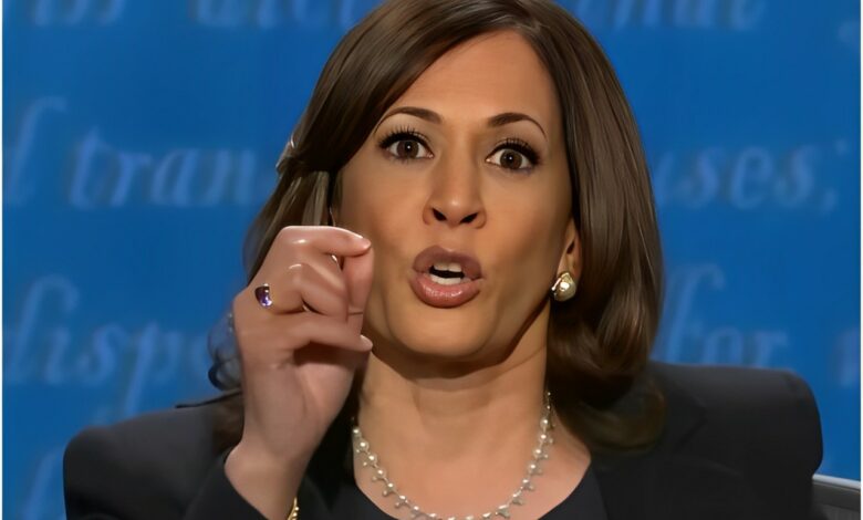 Kamala Harris Raises  Million (Updated August 2024)