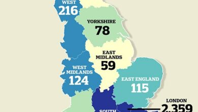 Mpox GLOBAL MAPPING: Every country where a new deadly variant is suspected… as health leaders brace for a surge in cases in the UK