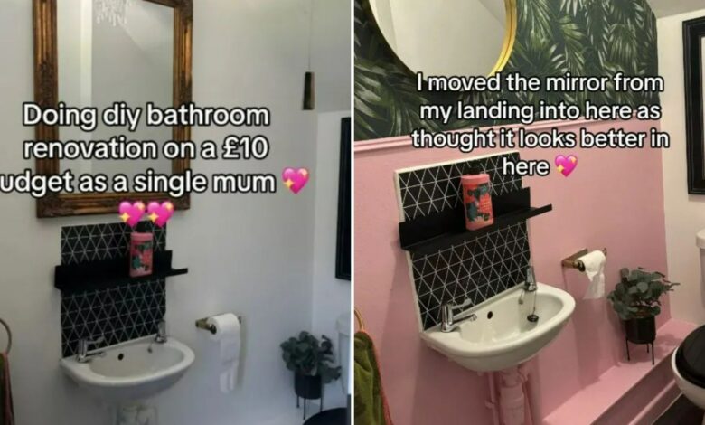 Mum transforms downstairs bathroom for £7.50 with Wickes purchases and it’s ‘stunning’