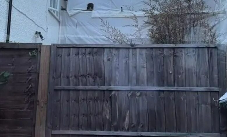 My Dad’s £7 DIY Privacy Fence Protects Us From Creepy Neighbours – Trolls Hate It