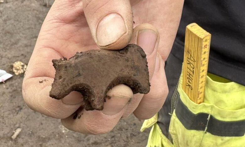 No one can identify Viking-era stone figurine found in Iceland