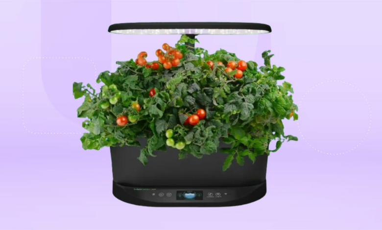 Save up to 30% off at AeroGarden now with this promo code