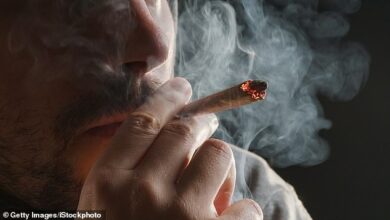 Smoking cannabis triples the risk of heart attacks and strokes, study of emergency hospital admissions finds