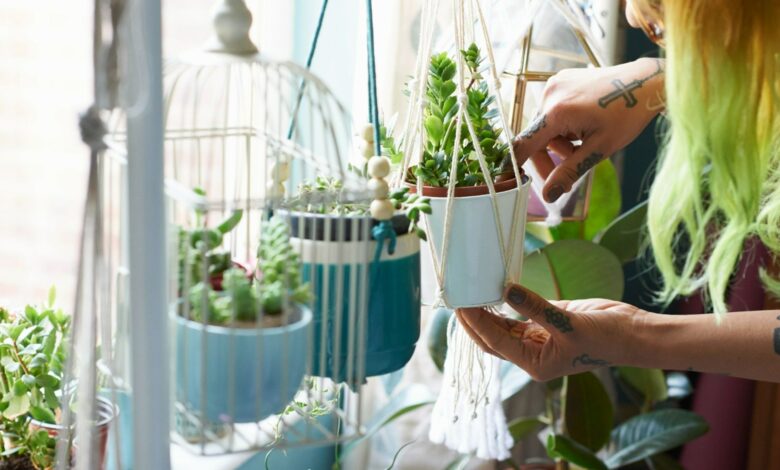 The Surprising Trick to Keeping Your Houseplants Alive While on Vacation