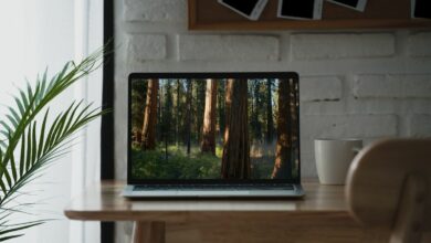 The new macOS Sequoia beta has a secret serene wallpaper that turns your desktop into a hidden forest