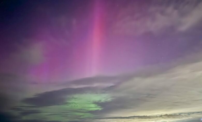 This is your last chance to see the magnificent Perseid meteor shower