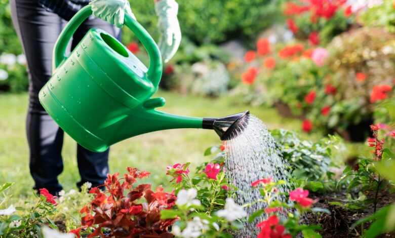 Tips for watering your plants while on vacation without having to ask the neighbors for water