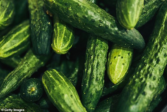 Urgent Cucumber Recall in Dozens of States Due to Massive Salmonella Outbreak – Are You at Risk?