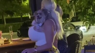 Voluptuous woman stuns as she shows off how she balances her DOG on her ample cleavage