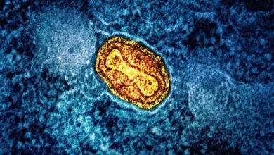 Why has the smallpox outbreak suddenly become a cause for concern?