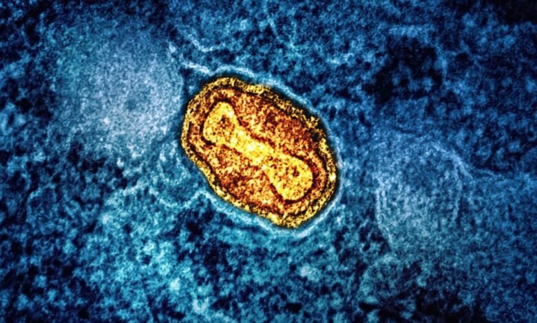 Why has the smallpox outbreak suddenly become a cause for concern?