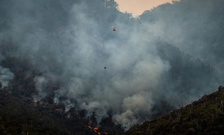 Wildfires continue to emit carbon dioxide long after they have burned out