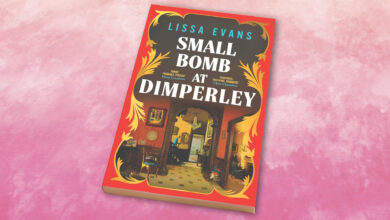 Win a copy of Small Bomb At Dimperley in this week’s Fabulous Book competition