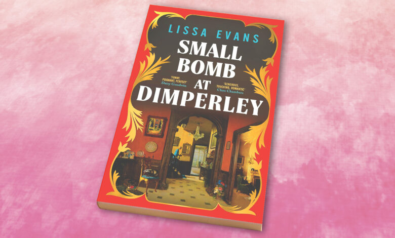 Win a copy of Small Bomb At Dimperley in this week’s Fabulous Book competition