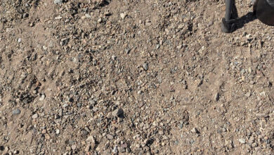 You have 20/20 vision if you can find the coin in the dirt within 14 seconds