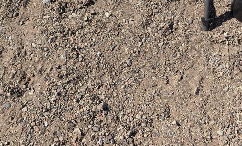 You have 20/20 vision if you can find the coin in the dirt within 14 seconds