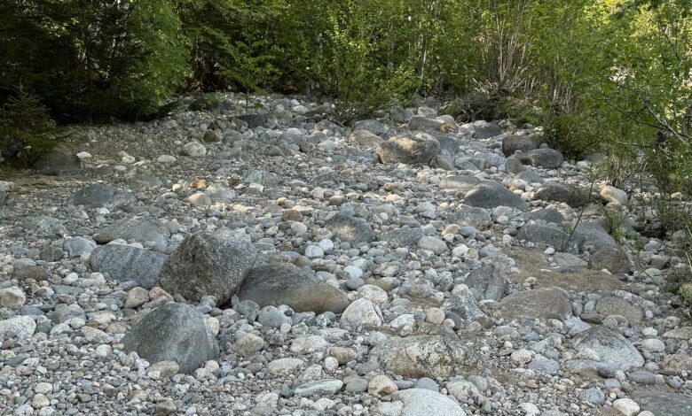 You have 20/20 vision if you can spot the Crocs between the rocks within 30 seconds