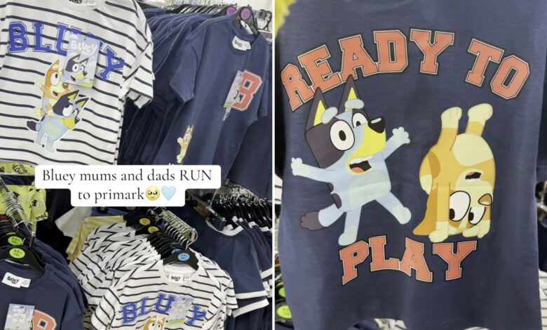 ‘Zara’ mum raves about Primark’s kids’ collection, including Bluey purchases