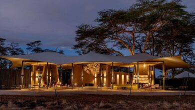 Inside a £19,000 ‘Lion King’ safari holiday, with Mount Kilimanjaro as a magical backdrop and a stay at a stunning lodge where the animal cast of the movie roam in spectacular numbers