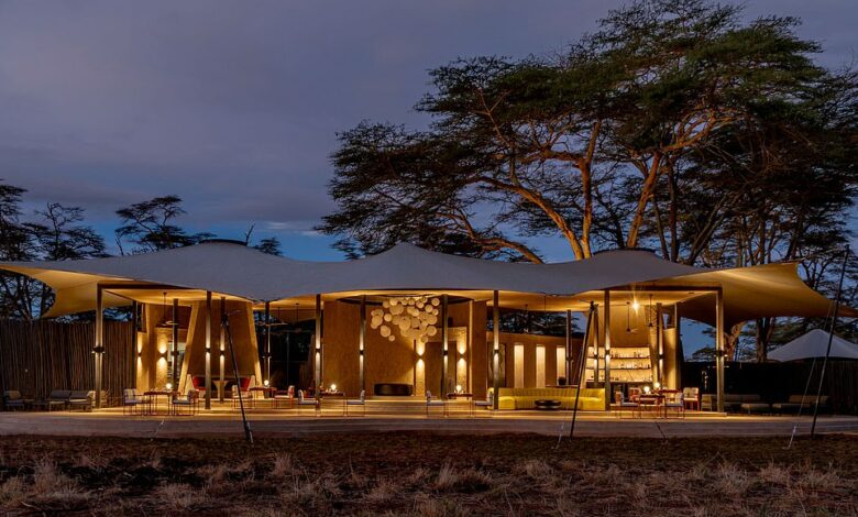 Inside a £19,000 ‘Lion King’ safari holiday, with Mount Kilimanjaro as a magical backdrop and a stay at a stunning lodge where the animal cast of the movie roam in spectacular numbers