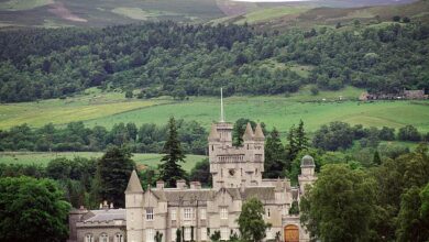 Royal fans are divided over Balmoral tours after complaining the £60 experience was ‘disappointing and overrated’ – but others describe the day trip as ‘worth it’ and ‘absolutely beautiful’