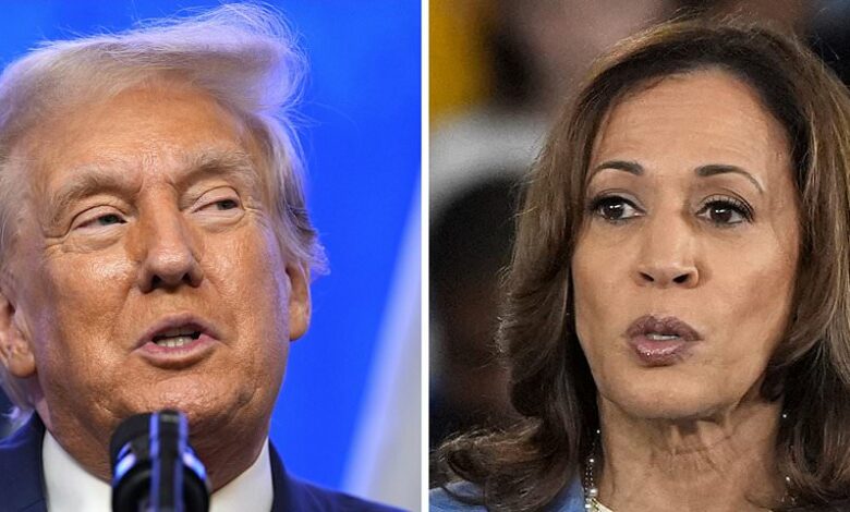 Presidential election 2024: Polls show where Donald Trump and Kamala Harris have the edge in the swing states