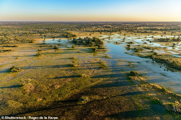 Now that’s what I call a REAL walk in the park: JANE SLADE explores the Botswana bush on foot – and is warned to ‘run like hell’ when a buffalo charges