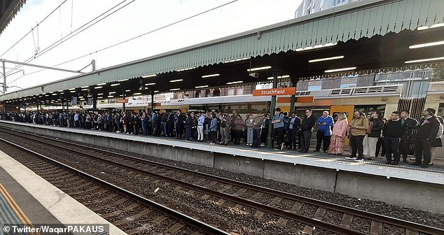 Sydney Trains: Urgent track works at Central Station cause chaos for commuters