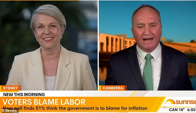 Tanya Plibersek is being criticised for laughing at a highly inappropriate moment during a live TV interview with Channel Seven’s Sunrise