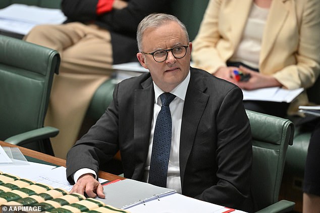 Facebook lashes out at Anthony Albanese over his proposed social media ban in Australia