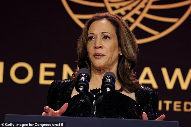 Kamala Harris speaks out after gunman was shot at Trump golf course while former president was playing