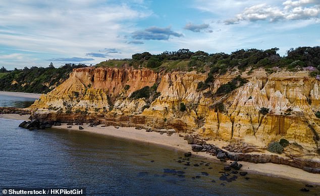 Major concerns over missing diver who disappeared 800 meters from the coast