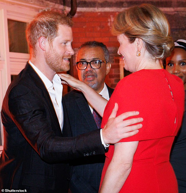 Prince Harry shows ‘possible signs of trouble’ at WHO dinner with Queen Mathilde – as he spends week away from Meghan