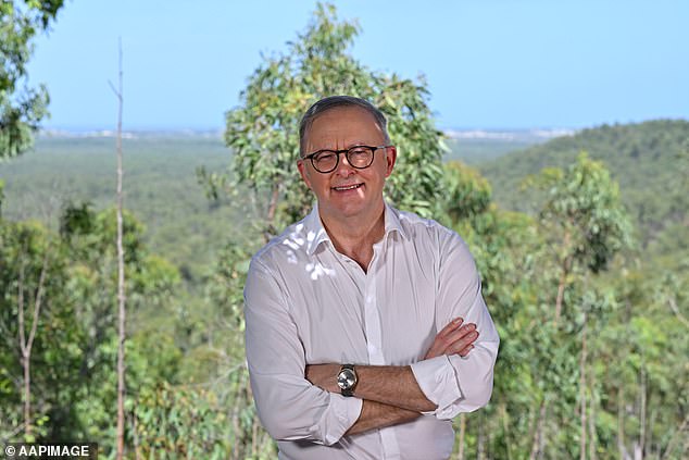 Anthony Albanese’s government is seriously considering a bold change to negative gearing that will send shivers down the spines of millions of Australian homeowners