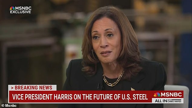 Kamala Harris puzzled by question about key part of her economic policy during MSNBC interview