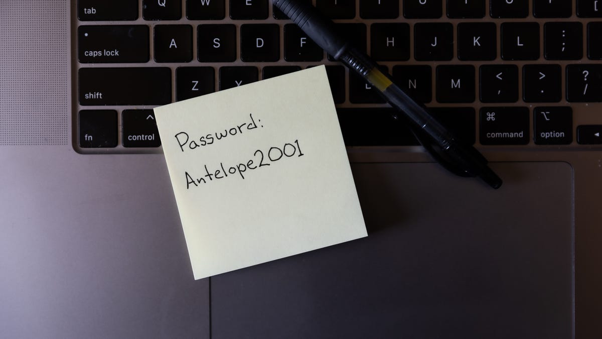 Best Password Managers for 2024 and How to Use Them